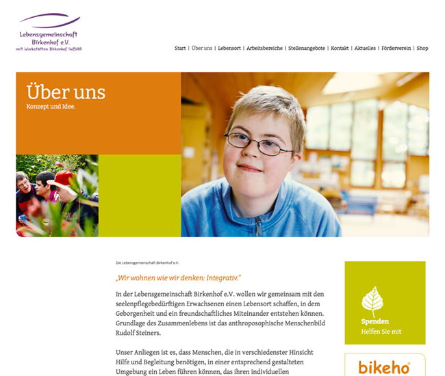 butenschoen-design-webdesign-website-erstellen-webseitenerstellung-hamburg-lueneburg-hannover-bremen-werbeagentur-bremen-web-Birkenho